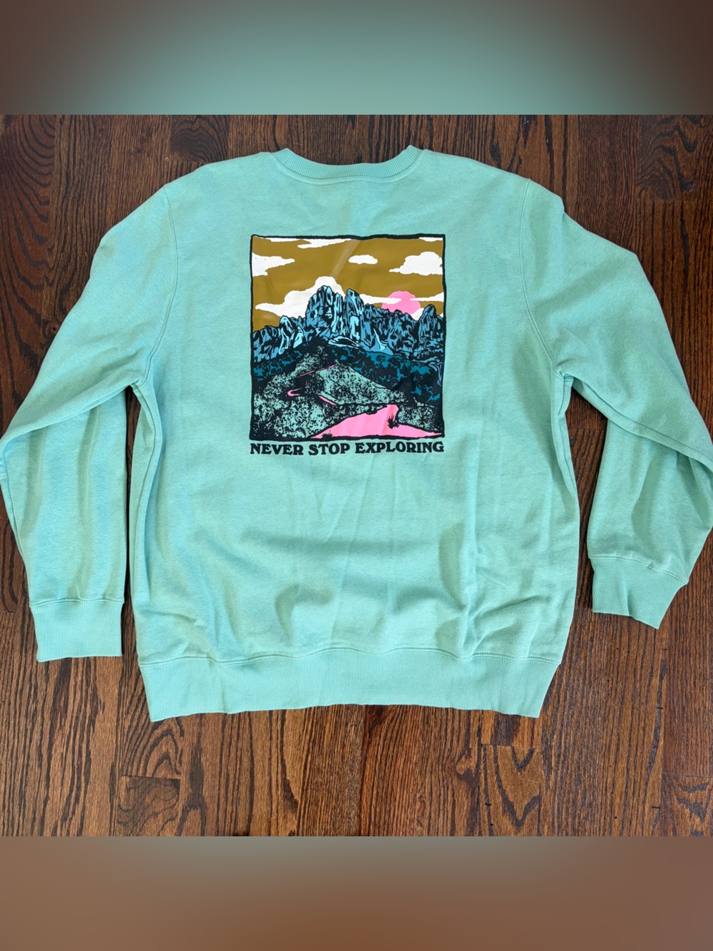 The North Face Crew Neck Graphic Sweatshirt